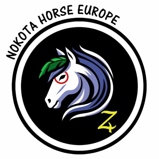 Nokota Horse Europe